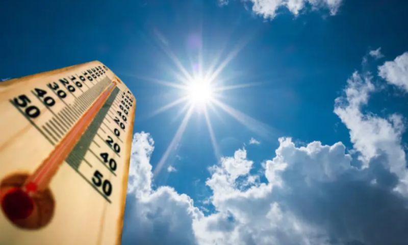heatwave canva