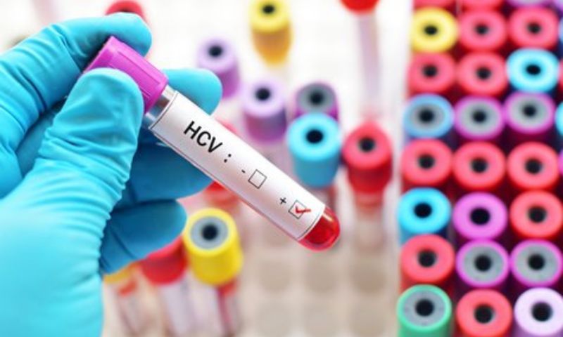 hep c canva