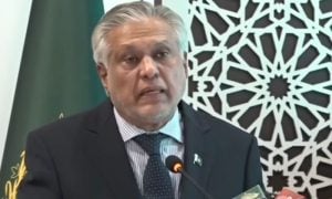 Pakistan to Host Regional Envoys’ Conference on Regional and Global Developments
