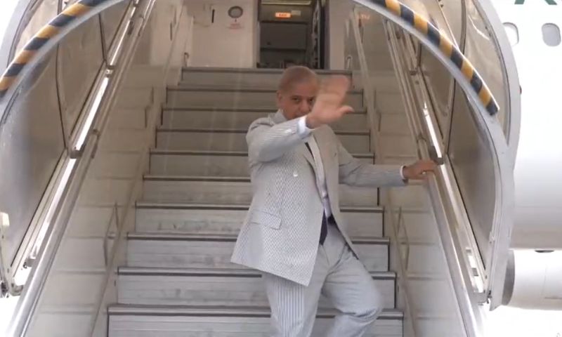 shehbaz