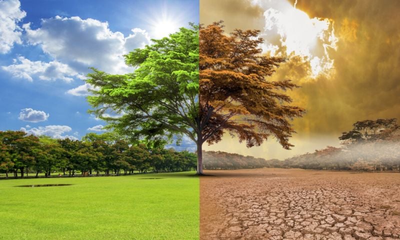 Climate change canva