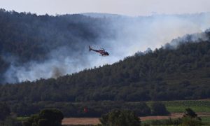 Heatwave Sparks Wildfires Across France, Greece and Spain