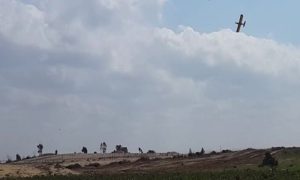 Lebanon Complains to UN Security Council over Israel's Spraying of Herbicide