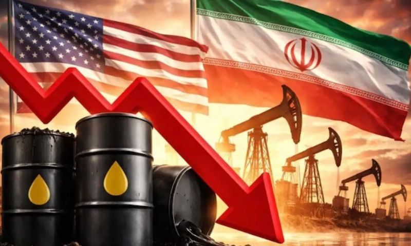 Oil