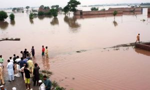 Pakistan Advances Climate Reforms and Resilience Measures Amid Escalating Climate Threats