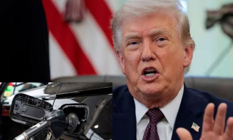 Trump 22