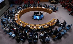 Five Countries Elected to UN Security Council