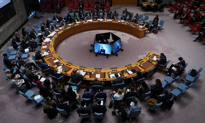 Five Countries Elected to UN Security Council
