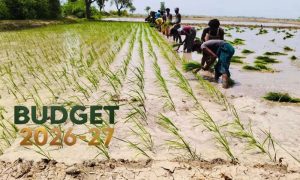 Budget 2026-27: Pakistan Puts Agriculture at the Heart of Growth Agenda