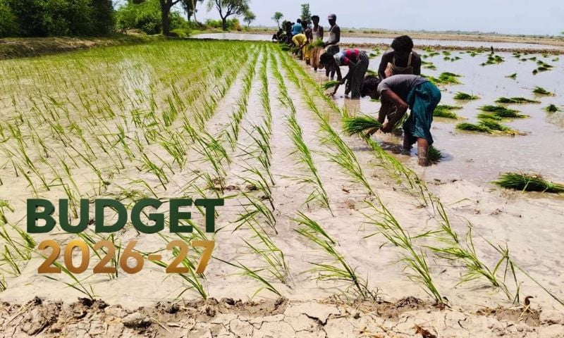 Budget 2026-27: Pakistan Puts Agriculture at the Heart of Growth Agenda