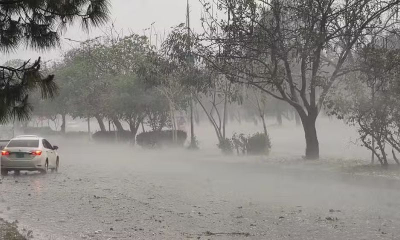 weather canva
