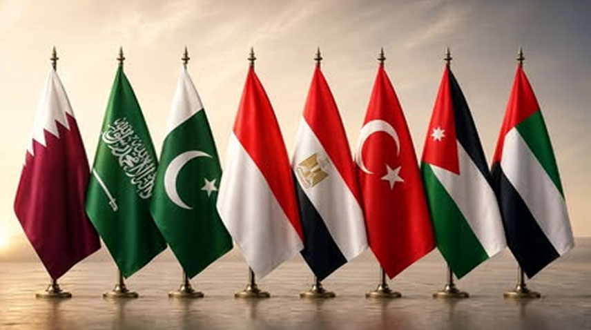 Pakistan, Egypt Condemn Continued Israeli Actions in Gaza, Occupied West Bank