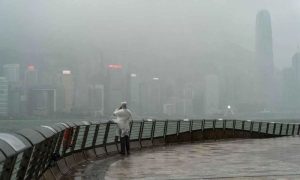 Typhoon