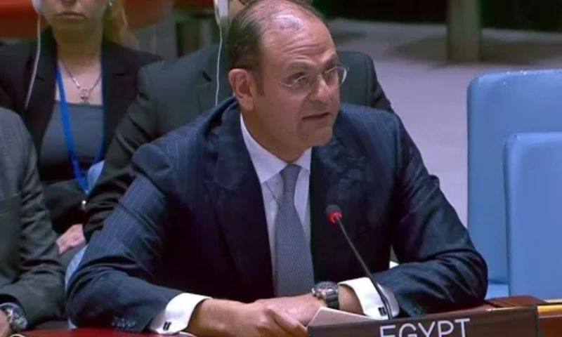 Pakistan, Egypt Condemn Continued Israeli Actions in Gaza, Occupied West Bank