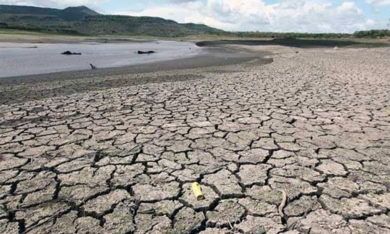 This Year's El Nino Likely to Become Record-Breaker: Top Expert