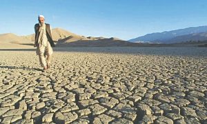 Strengthening El Nino Likely to 'Rank Among Largest' on Record: US Agency
