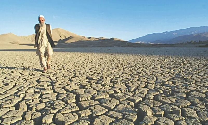 Strengthening El Nino Likely to 'Rank Among Largest' on Record: US Agency