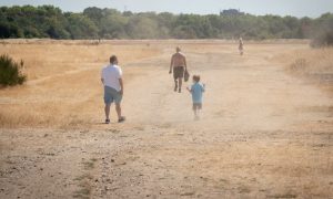 More Than Half of England 'Officially in Drought': UK Govt