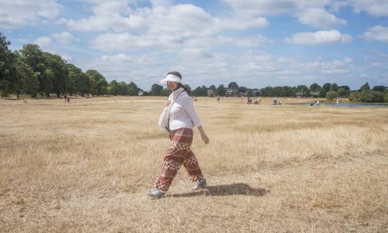 More Than Half of England 'Officially in Drought': UK Govt