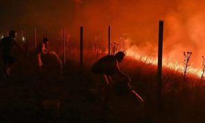 Thousands Sheltered in Bordeaux as France Wildfires Trigger Exodus