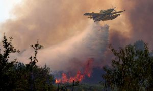 France and Spain Battle 'Unpredictable' Wildfires as 300,000 Evacuated
