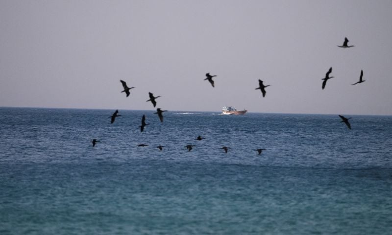 Hormuz
