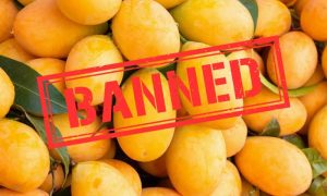 Mango 1