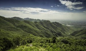 Margalla