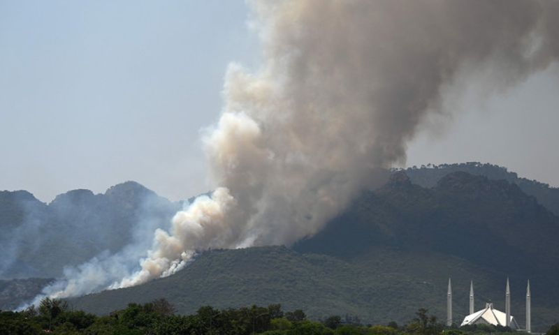Margalla 4