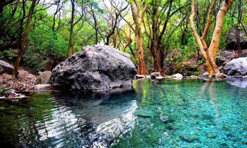 Margalla 5