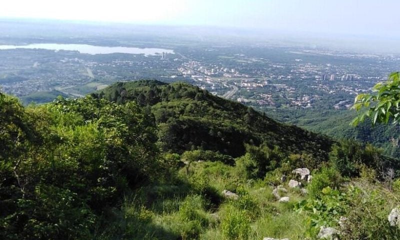 Margalla 6