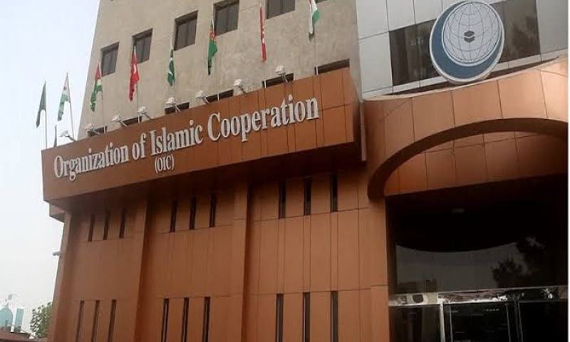 OIC Condemns Iran's Attacks on Gulf States, Jordan and Commercial Vessels