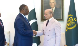 PM Shehbaz