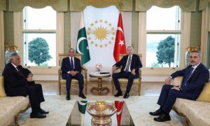 Pakistan, Turkiye Reiterate Support for Each Other's Core Issues