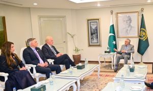 Pakistan, US Trade Could Double to $20bn in Five Years:  Deputy Prime Minister