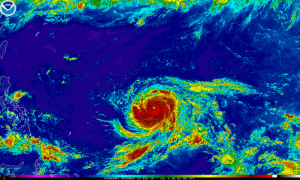 Typhoon