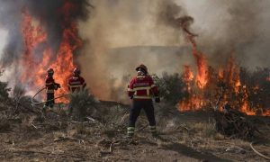 Wildfires