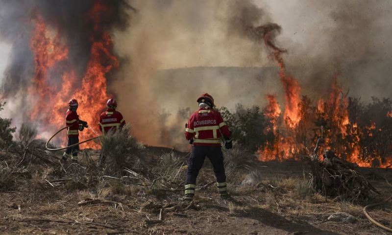 Wildfires