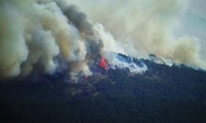 Wildfires