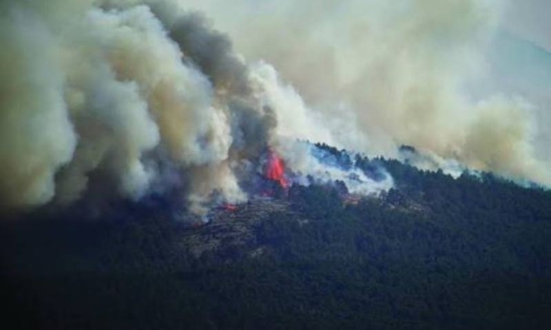 Wildfires