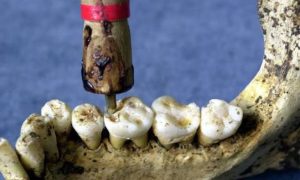 dentist canva