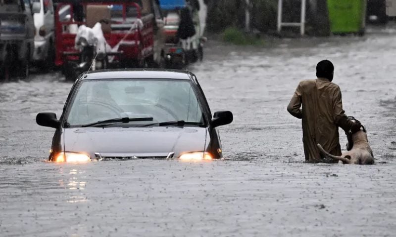 floods canva final