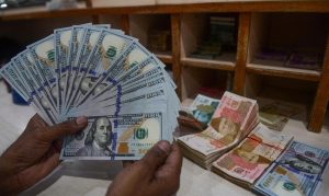 Why Our Rupee is Shrinking?