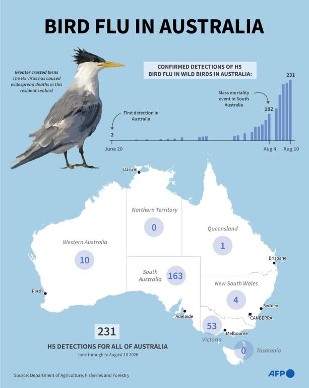 Bird flu in Australia