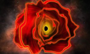 Astronomers Discover New Space Object 'Black Hole Star'