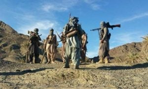 BLA: Propaganda and Reality