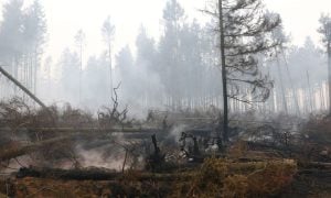Belgium wildfire