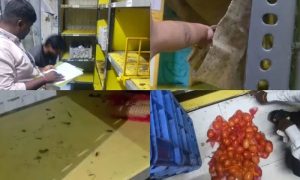Cockroaches, Rotten Vegetables Found in India's Grocery Warehouses