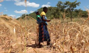 Strong El Nino Could Push 49 Million More People Into Acute Hunger: UN Agency
