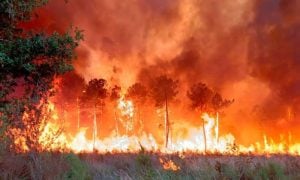 Wildfires Rage Across Europe as Heat, Drought Fuel Record Fire Risk